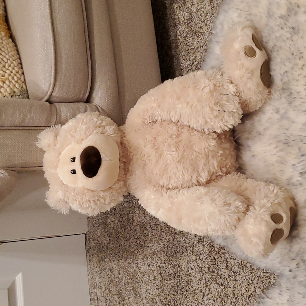 Soft Tedy Bear